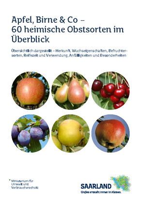 Das Bild zeigt die Titelseite der Broschüre "Apfel, Birne & Co - 60 heimische Obstsorten im Überblick"