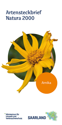 Das Bild zeigt die Titelseite des Flyers "Arnika - Artensteckbrief Natura2000"