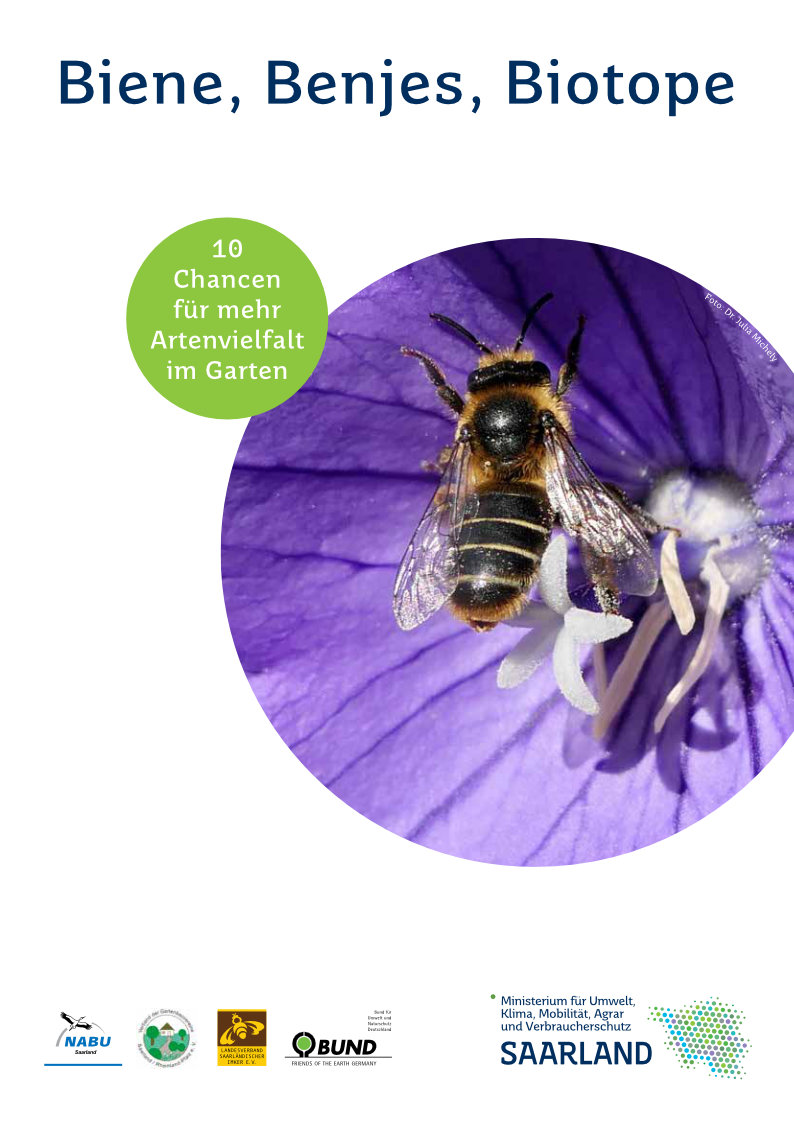 Das Bild zeigt das Titelbild der Broschüre "Biene, Benjes, Biotope".