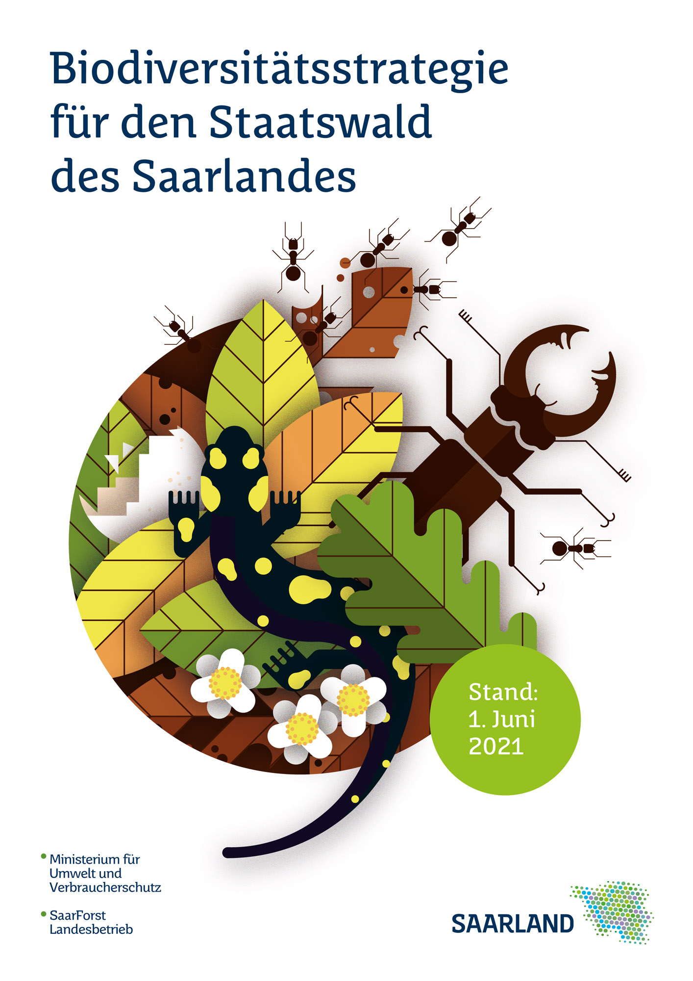 Das Bild zeigt das Titelbild des Flyers "Biodiversitätsstrategie für den Staatswald des Saarlandes".