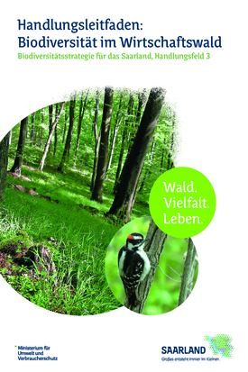 Das Bild zeigt die Titelseite der Broschüre "Biodiversität im Wirtschaftswald"