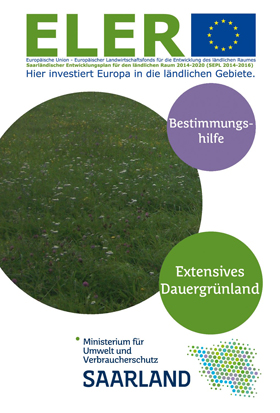 Das Bild zeigt die Titelseite der Broschüre "Bestimmungshilfe für extensives Dauergrünland".