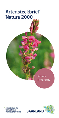 Das Bild zeigt die Titelseite des Artensteckbriefs "Futter-Esparsette" der Natura 2000 Reihe.