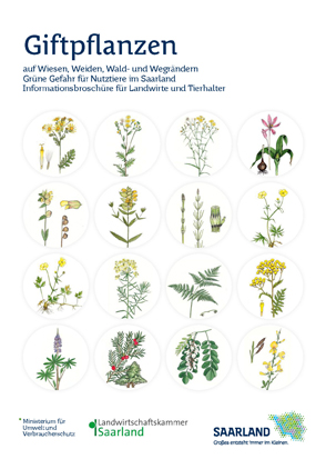 Das Bild zeigt die Titelseite der Infobroschüre "Giftpflanzen auf Wiesen, Weiden, Wald- und Wegrändern. Grüne Gefahr für Nutztiere im Saarland"