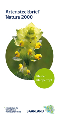 Das Bild zeigt die Titelseite des Artensteckbriefs "Kleiner Klappertopf" der Natura 2000 Reihe.