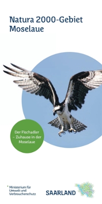 Das Bild zeigt die Titelseite des Flyers "Natura 2000 - Gebiet Moselaue"