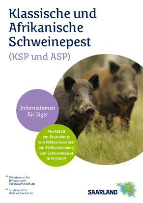 Das Bild zeigt die Titelseite der Infobroschüre "Schweinepest - Klassische und Afrikanische Schweinepest"