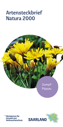 Das Bild zeigt die Titelseite des Artensteckbriefs "Sumpf-Pippau" der Natura 2000 Reihe.