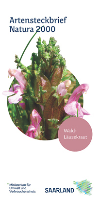 Das Bild zeigt die Titelseite des Artensteckbriefs "Wald-Läusekraut" der Natura2000 Reihe.