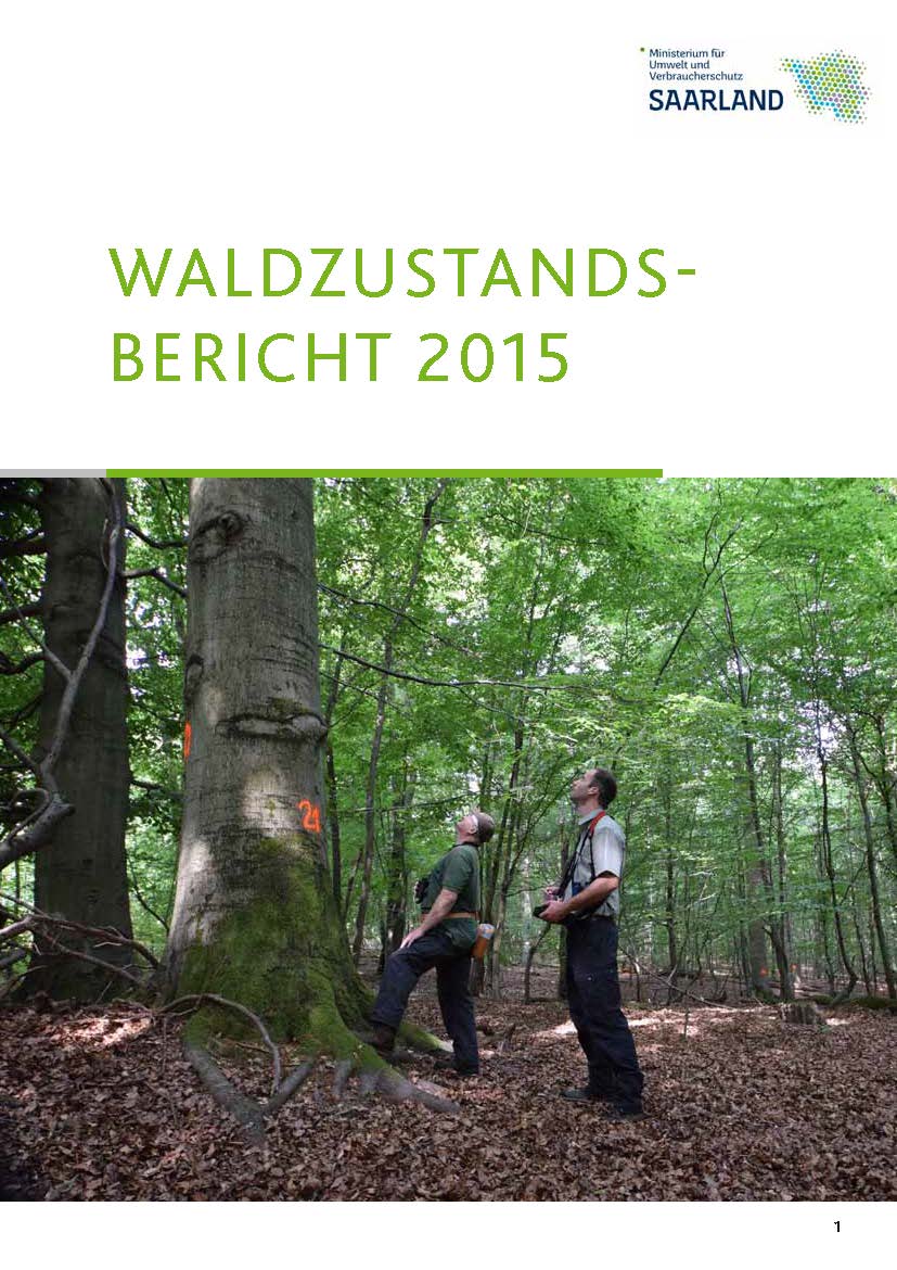 Das Bild zeigt die Titelseite der Broschüre "Waldzustandsbericht"