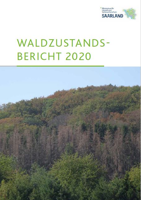 Man sieht das Cover des Waldzustandsbericht 2020