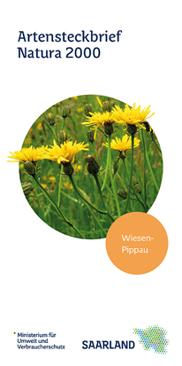 Das Bild zeigt die Titelseite des Artensteckbriefs "Wiesen-Pippau" der Natura 2000 Reihe.
