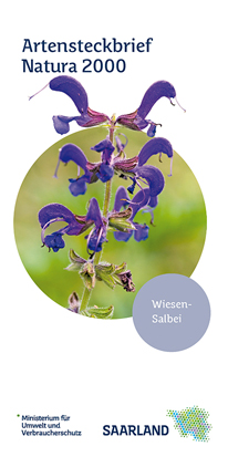 Das Bild zeigt die Titelseite des Artensteckbriefs "WIesen-Salbei" der Natura 2000 Reihe.