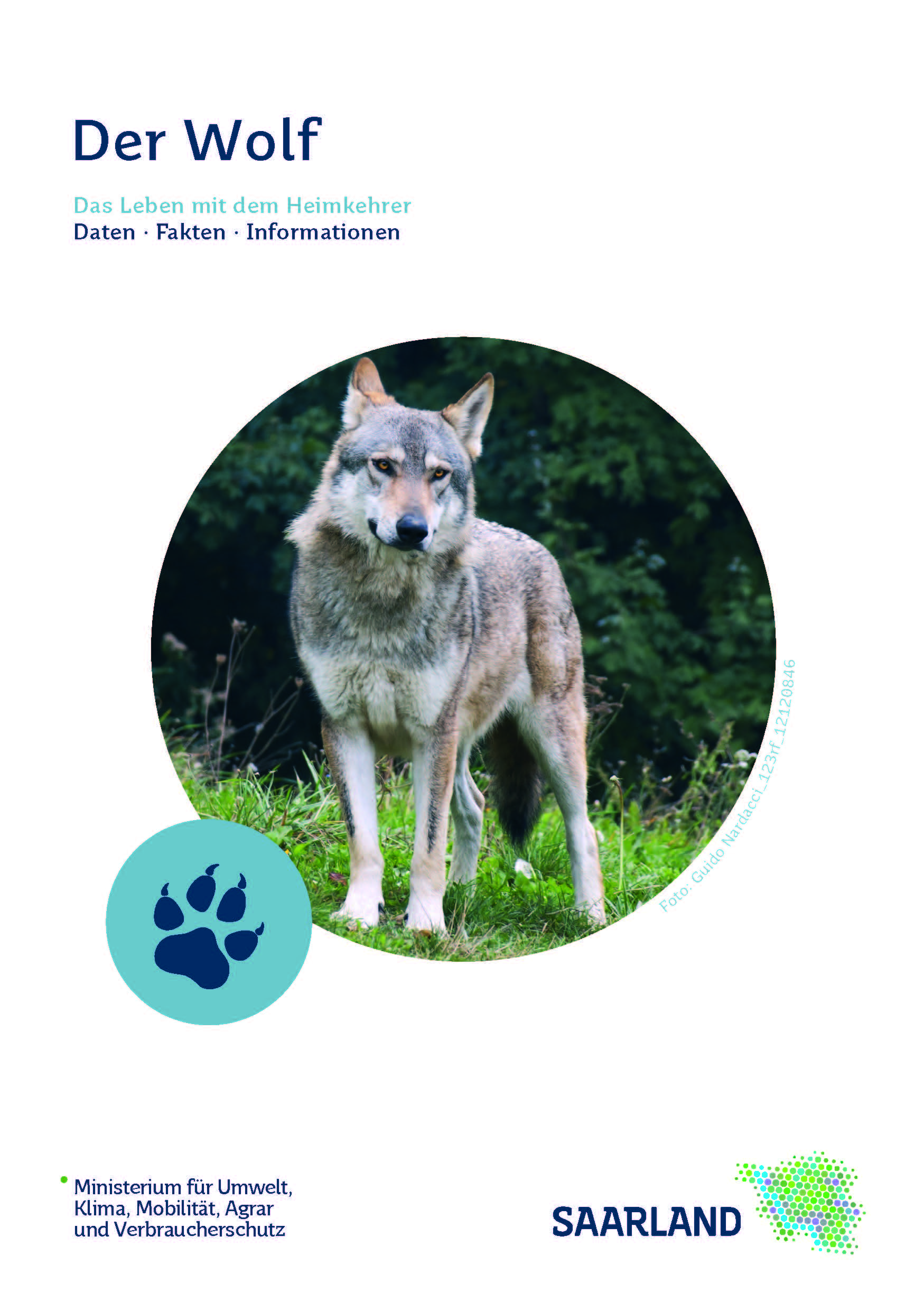 Das Bild zeigt die Titelseite der Broschüre "Wolf - Daten, Fakten und Informationen Cover"