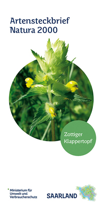 Das Bild zeigt die Titelseite ds Artensteckbriefs "Zottiger Klappertopf" der Natura2000 Reihe.