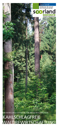 Das Bild zeigt die Titelseite des Flyers "Kahlschlagfreie Waldbewirtschaftung"